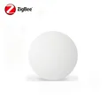 Zigbee 1Pcs