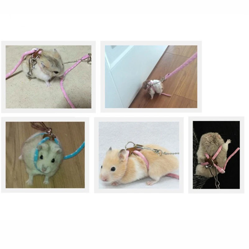Small Pet Adjustable Soft Harness Leash Bird Parrot Mouse Hamster Ferrets Rat Pet Pig Leash