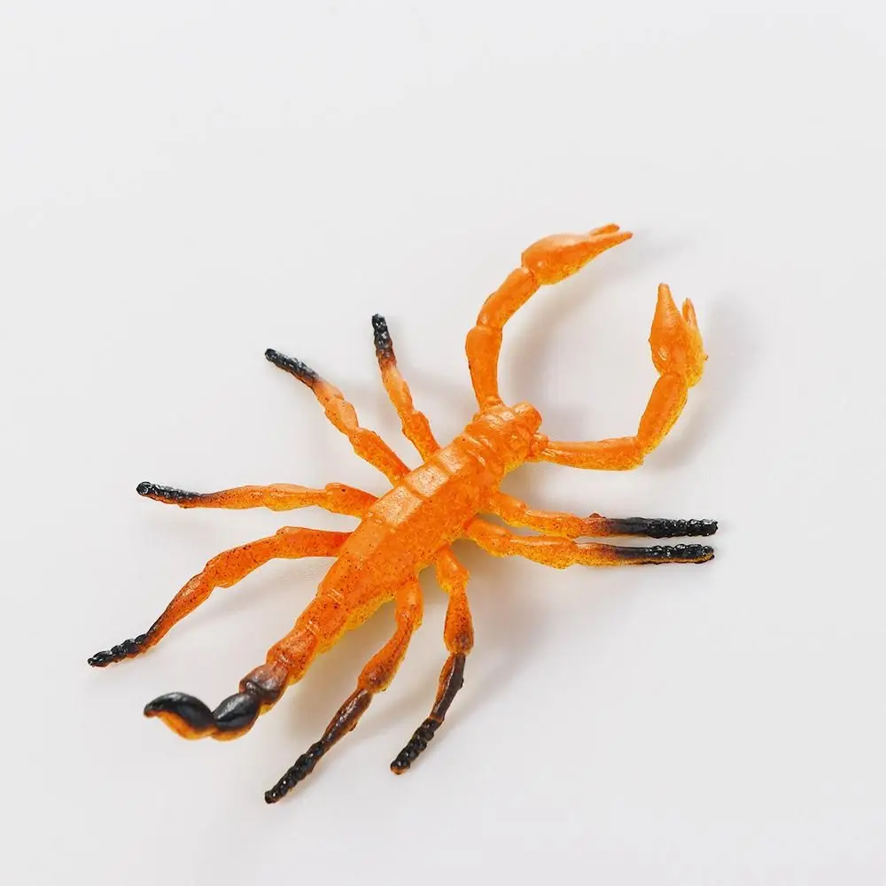Model Toys Beetle PVC Fake Insect Spider Figures Simulation Insect Model Animal Toys Realistic Figurine