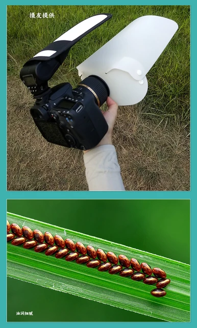 Diffusore Flash 2 Pezzi Pieghevole - Accessorio Per Ammorbidire La Luce In Fotografia, 30cm Bianco - Foto 7