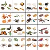 Animal Life Cycle Board Children Toys Montessori Teaching Aids Plant Animal Growth Cycle Model Set preschool cognitive Toys 6