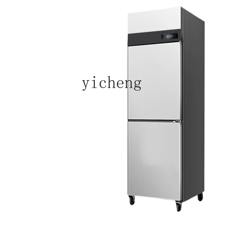 Tqh Air Cooling Frostless Two-Door Refrigerator Commercial Vertical Refrigerated Cabinet Freezer Cake Strip Freezer