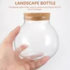 Micro Landscape Glass Bottle Vase Mouth Ball Moss Vase Hydroponic Terrarium Container Fish Tank Bottle With LED Light 3