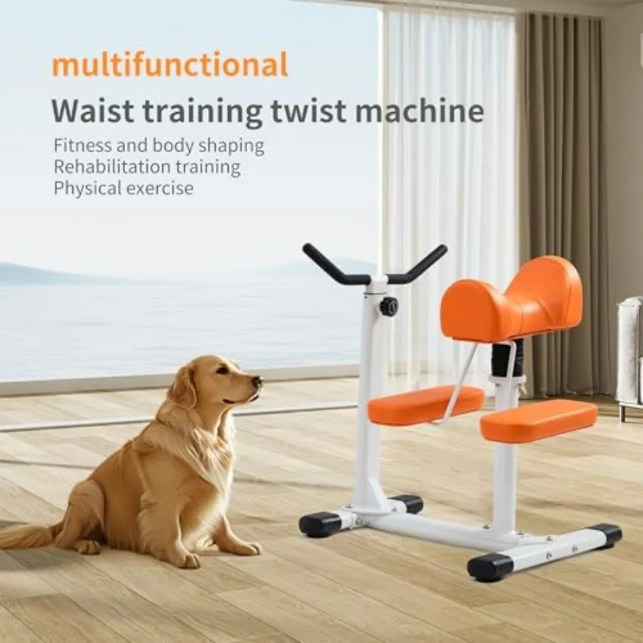 Waist Twist Machine, 3D Cushioned Core Exercise Equipment, Fitness and Rehabilitation Trainer