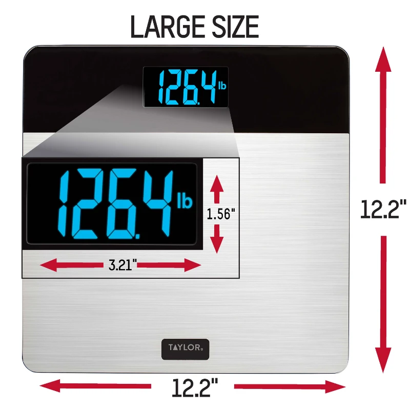 

Stainless Steel Scale with 400 lb Capacity