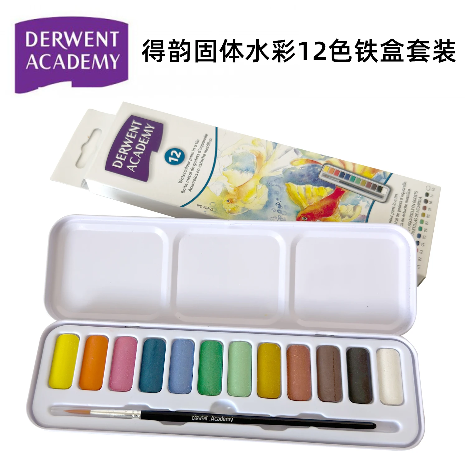 Derwent : Metallic Paint Pan : Palette : Set of 12 - Other Sets - Art Sets  - Color