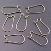 10/20Pcs Stainless Steel Ear Hooks Wire Settings Base Findings French Earrings DIY Clasps Hoop Earrings Jewelry Making Supplies 3