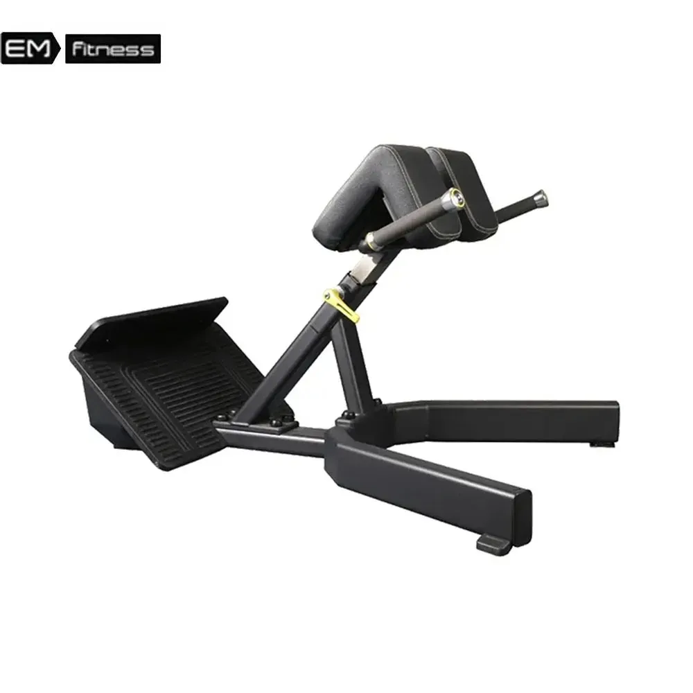 

Professional gym fitness equipment roman chair back extension