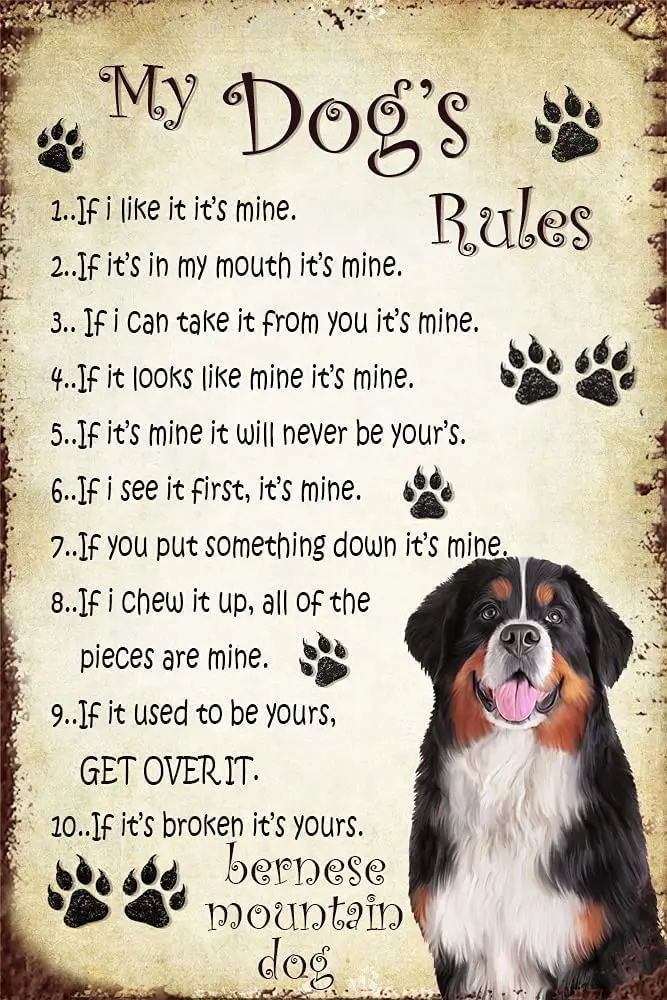

Bernese Mountain Dog Rules Vintage Rusty Metal Sign 12" X 8" Home Wall Decoration Metal Plaques