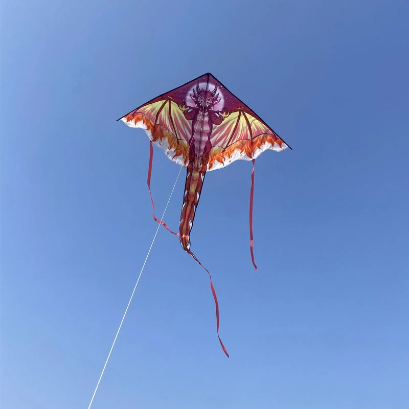 Chinese Dragon Kite For Kids & Adults Easy To Fly Outdoor Toy