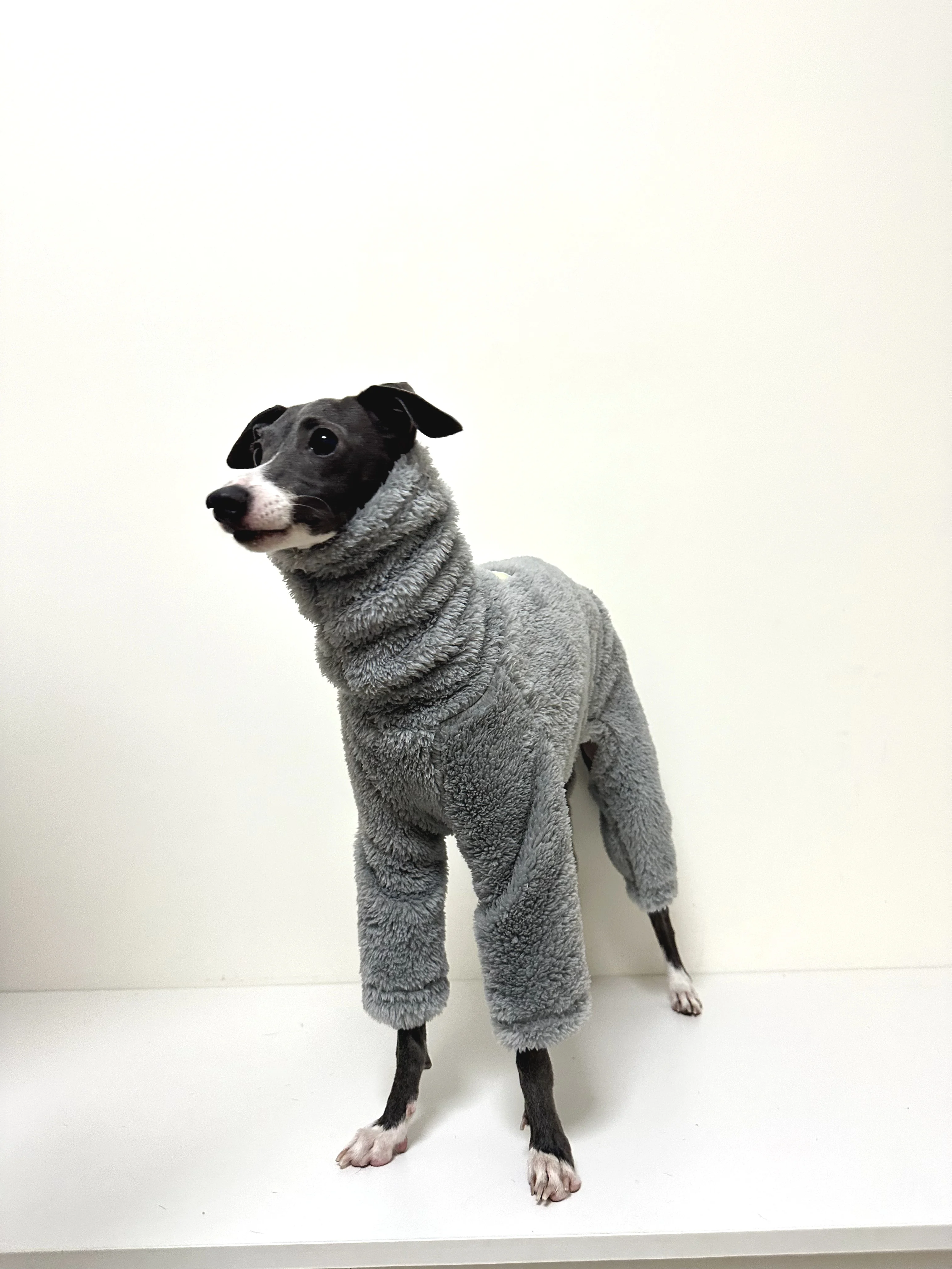 이탈리아 그레이하운드 더블 사이드 개 회색 의류 터틀넥 따뜻한 양털 개 코트 Whippet Jammies 겨울 잠옷 점프 슈트
