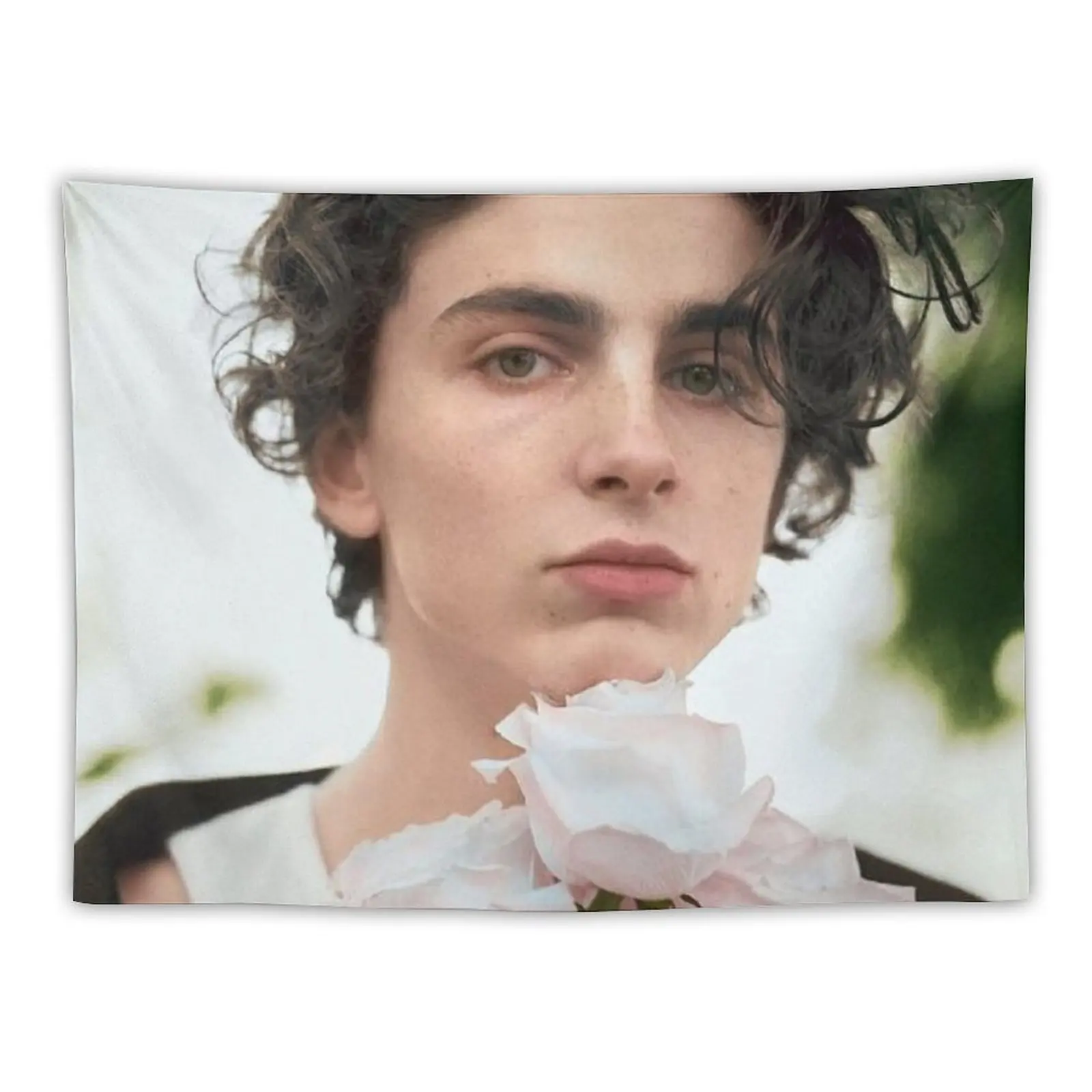 

Timothee Chalamet Tapestry Room Decoration Korean Style Wall Tapestry