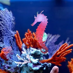 Luminous Silicone Seahorse Aquarium Decor with Suction Cups (Red)