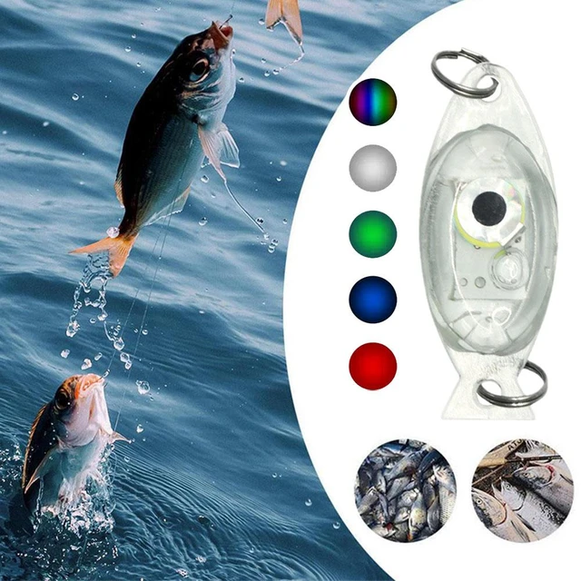 LED Fishing Lure Lamp Underwater Attraction Fish Flashing Lamp