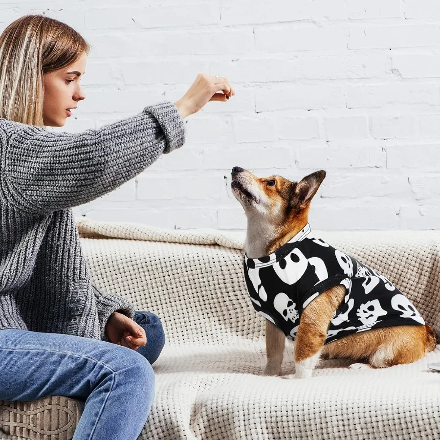 Halloween Dog Costume Set Funny Pumpkin Ghosts Vest