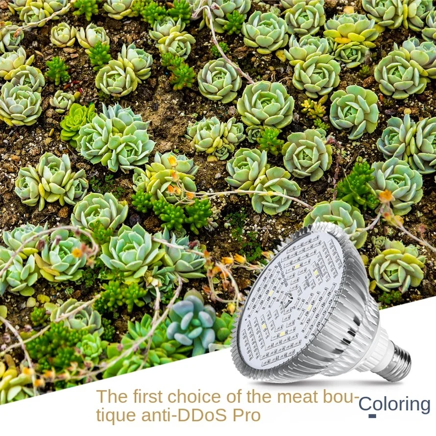 LED Phyto Grow Light Full Spectrum Phytolamp E27 E14 UV Lamp For Greenhouse Flower Seeds Hydroponic Growth
