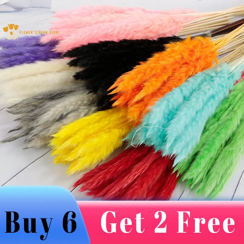 

15Pcs Natural Pampas Grass Dried Flowers Bouquet Boho Home Decor Real Plants Reed Wedding Party Table Photo Props Decoration