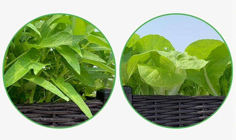 Description Picture 4 of itemLarge Capacity Vegetable Planting Box Home Balcony Planting Pot Equipment Thickened Square Flower Pot Garden Pots & Planters