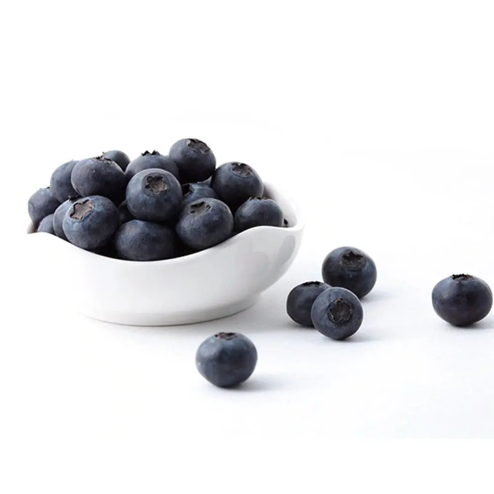 20PCS High Simulation Fruit Plastic Fake Blueberry Photo Props Home Artificial Food Shop Model Decor