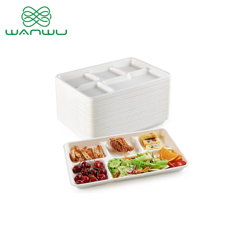 5 grid plates,25 disposable paper plates, heavy duty biodegradable sugarcane trays, eco-friendly school lunch trays