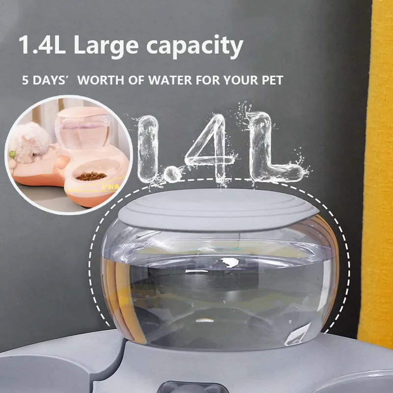 Elevated Cat Food Water Bowls Products Cats Drinking Bowl Cats