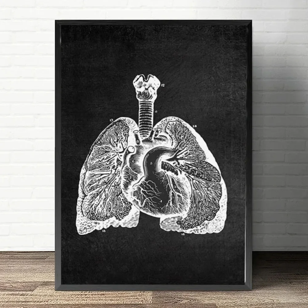 Anatomia Arte Bianco e Nero Pittura su tela medica Organo floreale Cardio Polmone Stampa di poster Educazione Ospedale Decorazioni per la casa - immagine 3