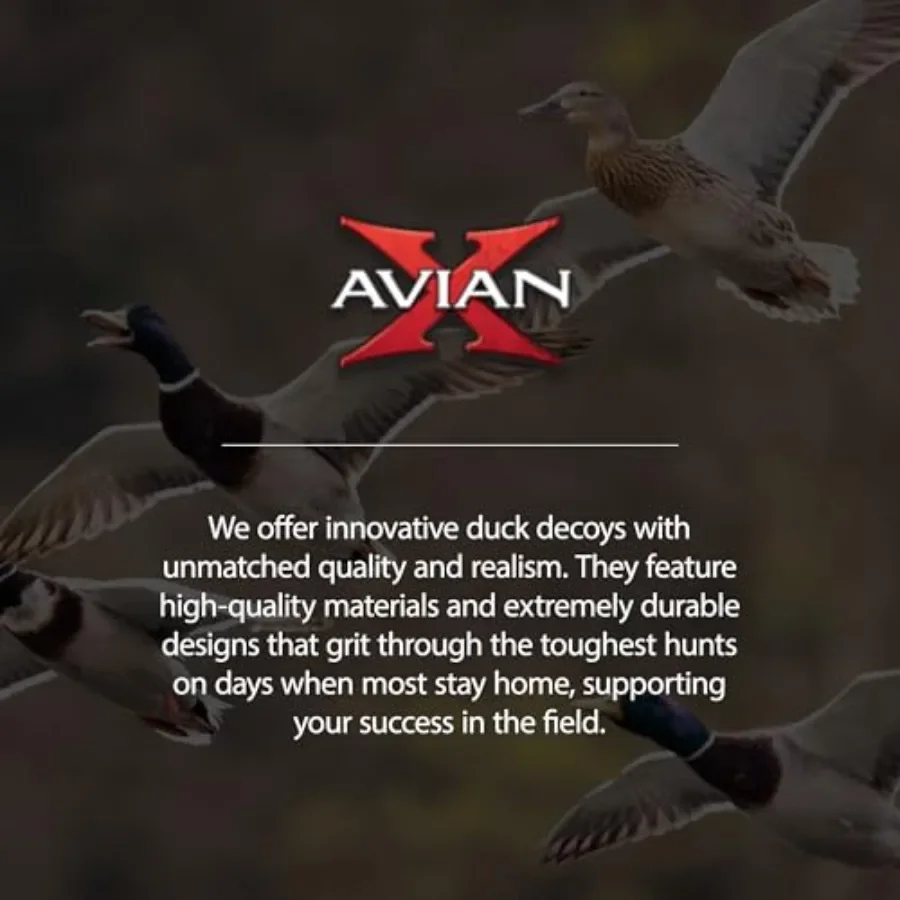 description