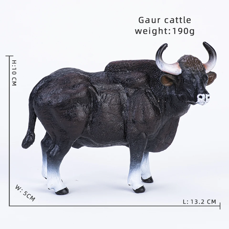 Gaur cattle