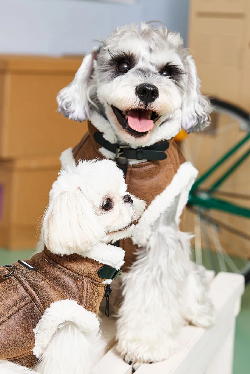 Warm Windproof Monochromatic Dog Coat Cotton Designer Clothes for Large Dogs Puppy Accessories Winter