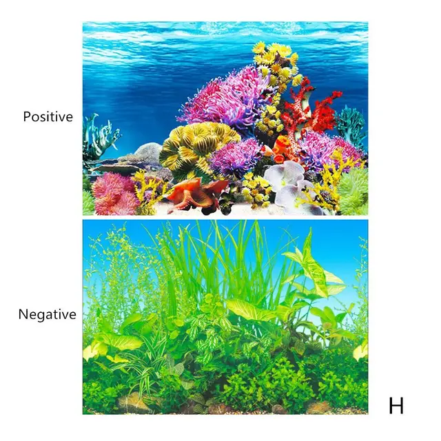 水族館風景ステッカーポスター水槽 3d背景絵画ステッカーpvc両面海海は背景の装飾 Aliexpress ホーム ガーデン