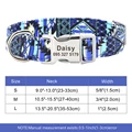 337 Blue