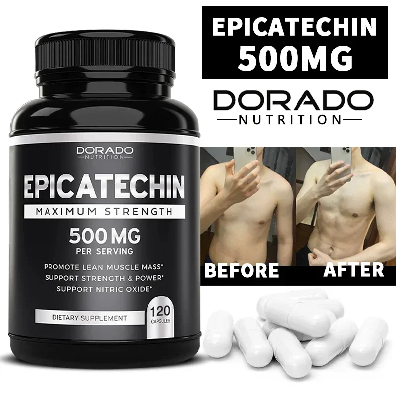 Muscle Supplement Epicatechin Capsules 500 Mg Per Serving (120 Capsules) for Lean Muscle Nitric Oxide Carnosine Inhibitors Endurance for muscle supplement