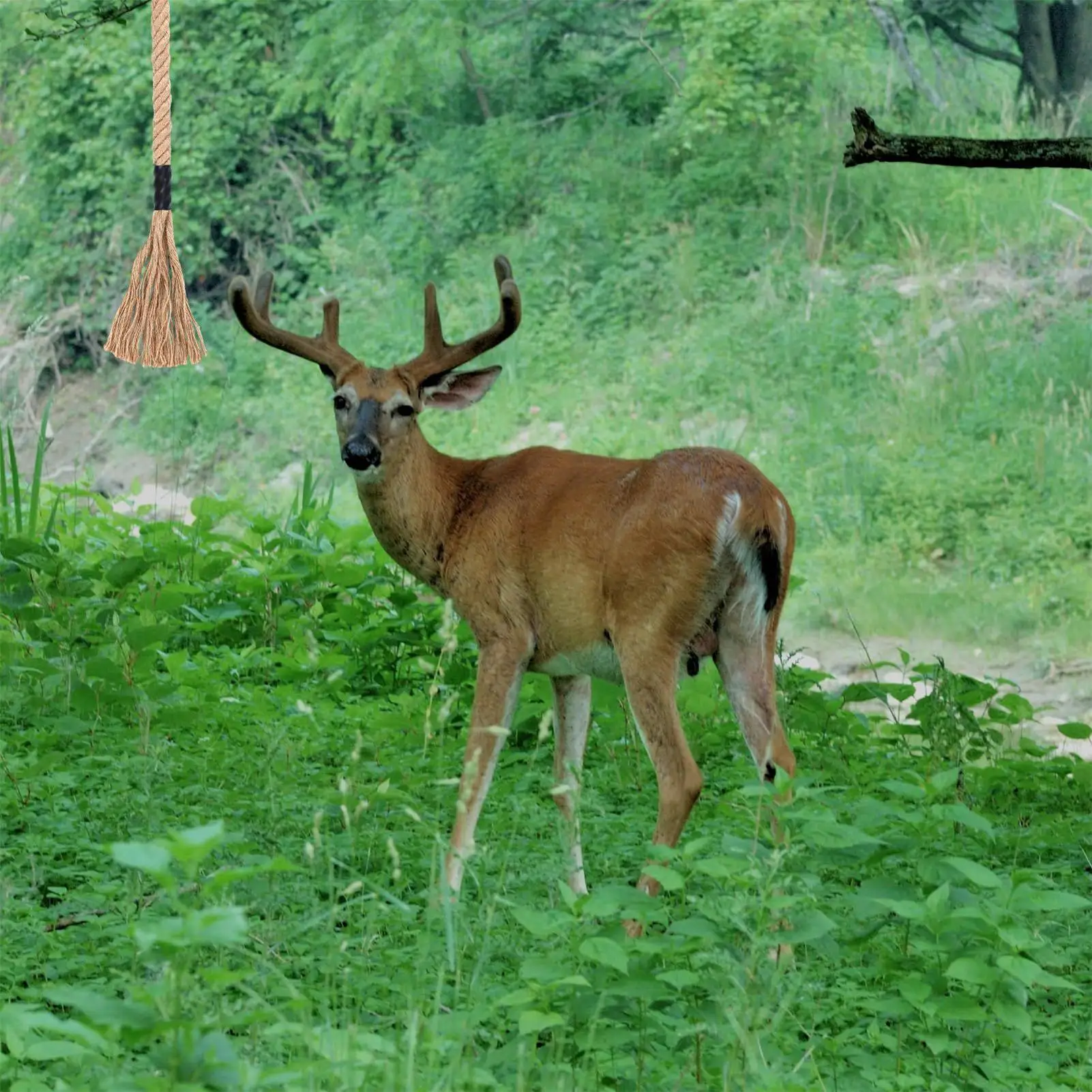 Deer Scent Rope Long-Lasting Effective Attractant Effective Whitetail Attractant For Trail Outdoor Camping Wildlife Woods Hiking