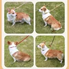 Dog Walking Leash Slip Rope Lead Leash Heavy Duty Braided Rope Adjustable Loop Collar Training Leashes for Large Dogs 4