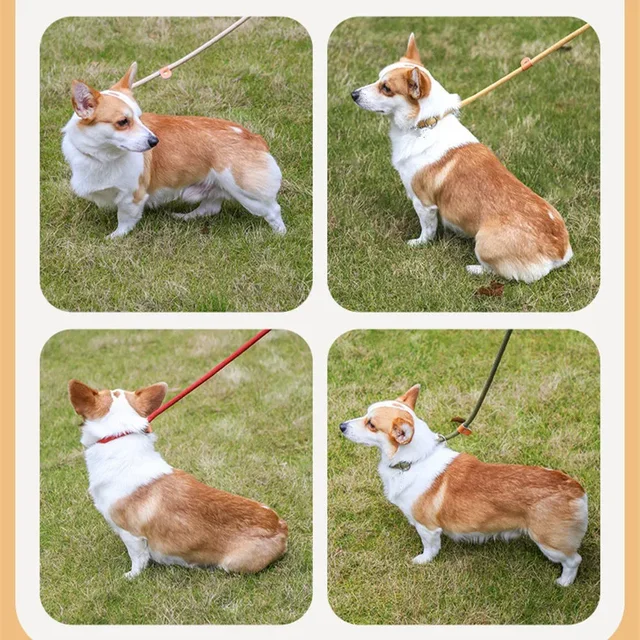 Dog Walking Leash Slip Rope Lead Leash Heavy Duty Braided Rope Adjustable Loop Collar Training Leashes for Large Dogs 4