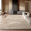 Living Room Carpet Home Sofa Coffee Table Bedroom Rug Cream Style Light Luxury Advanced Waterproof Anti-fouling Floor Mat Ковер 3