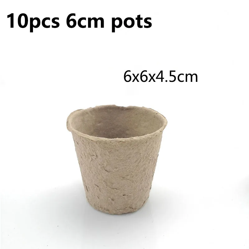 6cm 10pcs