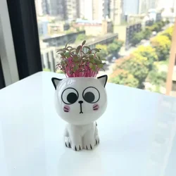 Cute Mini Cat Ceramic Flowerpot - Desktop Decor and Science Education Gift (B)
