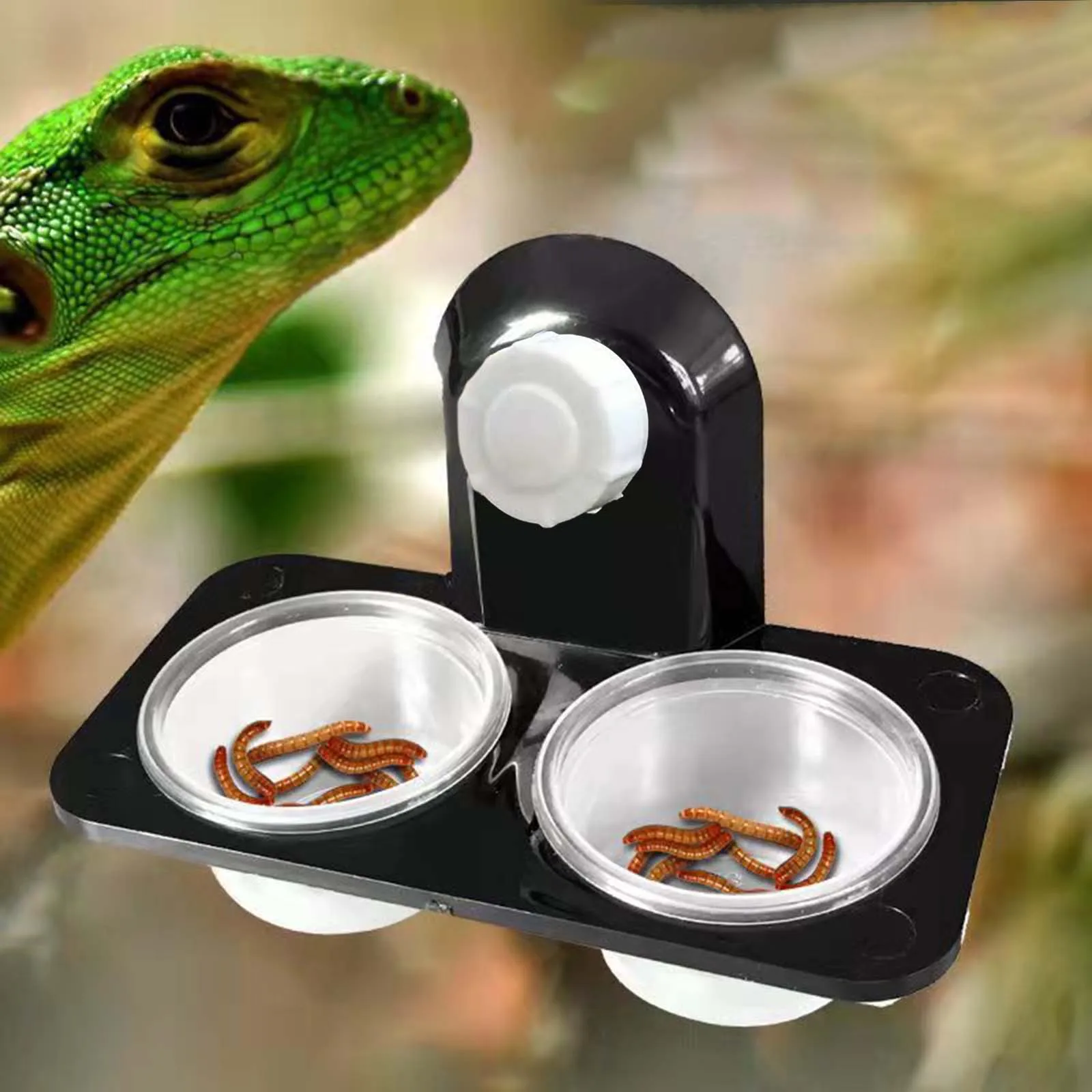 Reptile Feeder with Suction Cup Detachable Feeding Dish Bowl