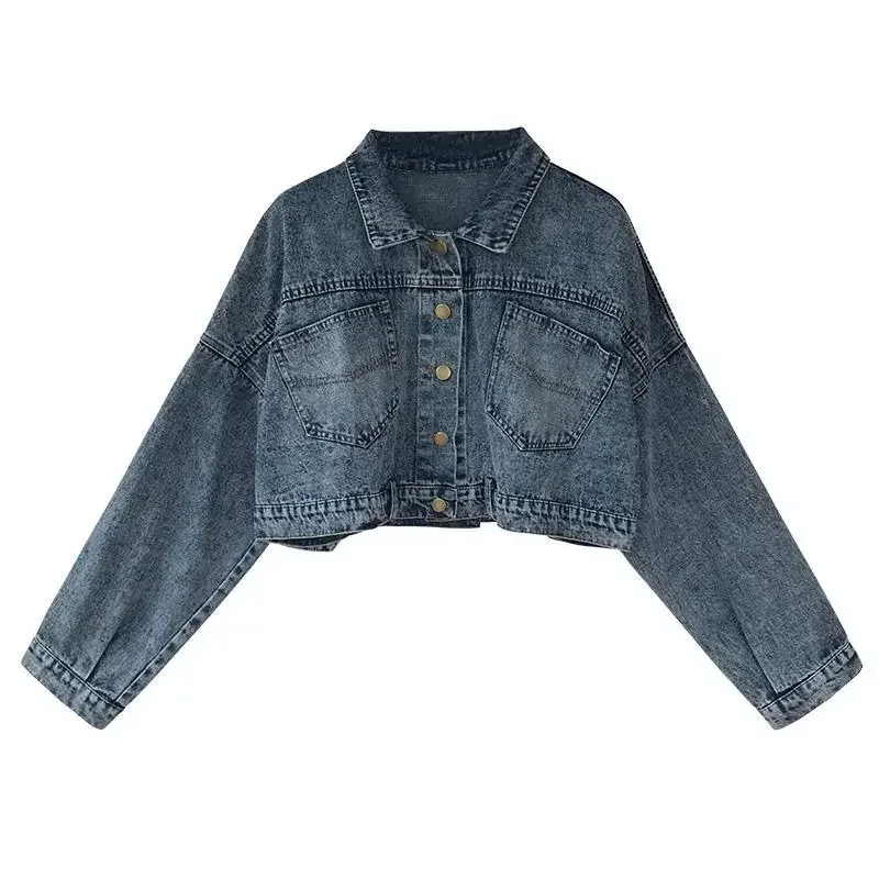 Plain Crop Outerwear Spring Autumn Blue Small Denim Jacket for