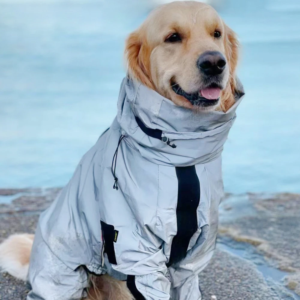 Protection pluie pour chien hotsell