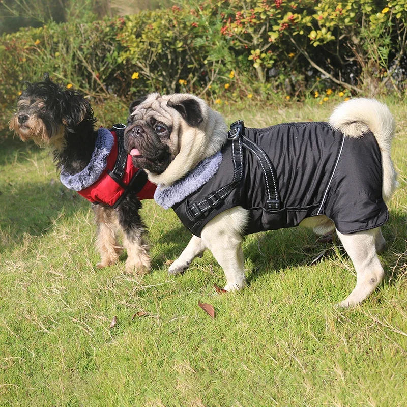 Waterproof Dog Clothes with Harness for Medium Large Dog Winter