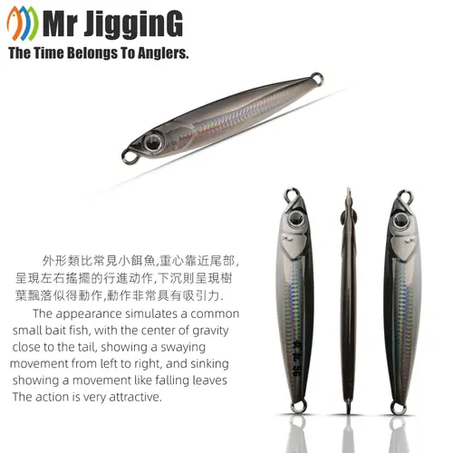 Mr JigginG Fast Sinking Metal Jig Lure 10/15/20/30/40g Saltwater Shore Casting Fishing Sea Bass Metal Jig Artificial Bait Tackle - Image 2