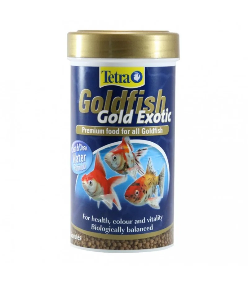 Tetra Goldfish Gold Color Growth Exotic Japan Fish Food Fish Tank