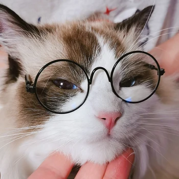 Vintage Pet Sunglasses 1