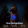 Led Dogs Collars Pendant Rechargeable Pet Usb Luminous Collar Pendant Puppy Flash Light Leash Accessorie Decoration Dog Necklace 3