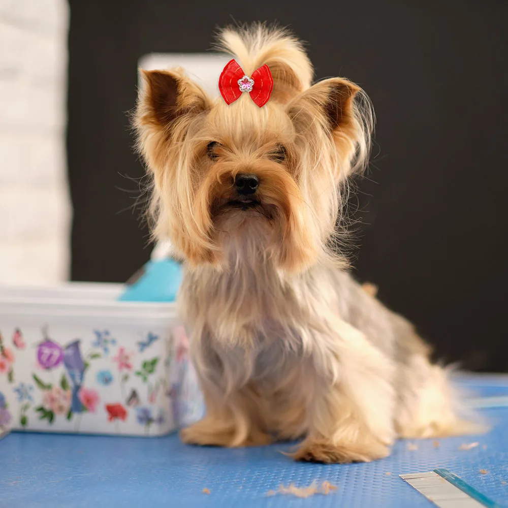 10/20PCS Puppy Bows 2024 New Red Series Dog Bows With Rubber Bands Pet Accessories For Dogs and Cats Handmade Cute Dog Bowknots 4