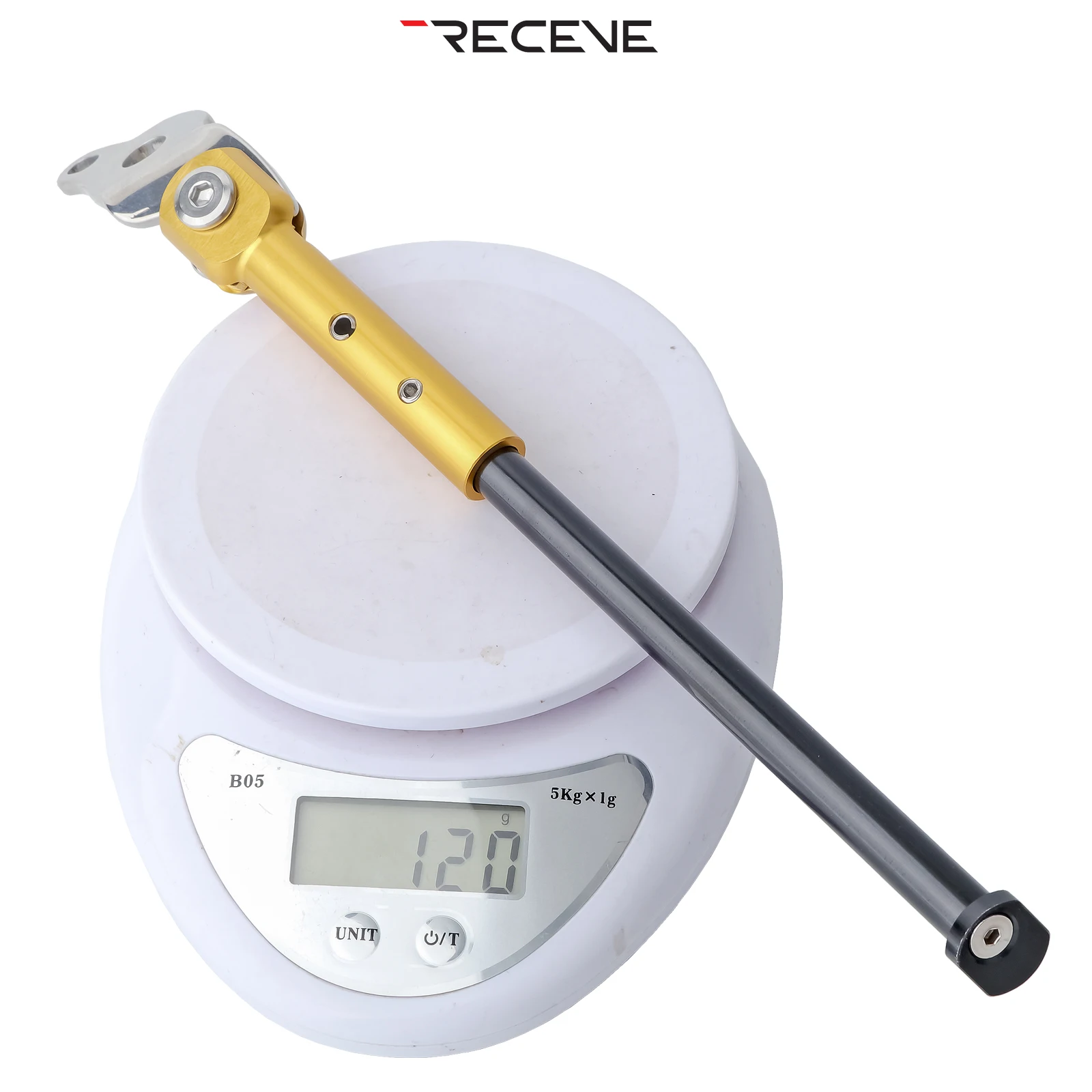 RECEVE Folding Bicycle Kickstand 349 Aluminum Alloy Foot Support Bike Kickstand Parking Stand Footrest for FNHON Gust 16inch