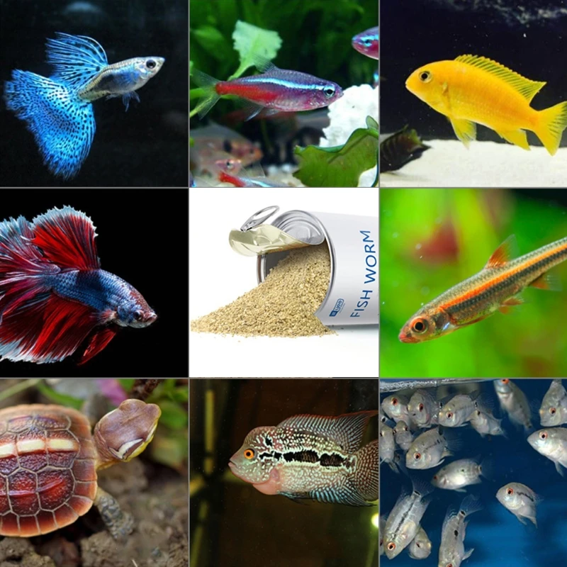 1 Can 1280ml/500ml Guppy Aquarium Fish Food Natural High Protein Fishing Baits
