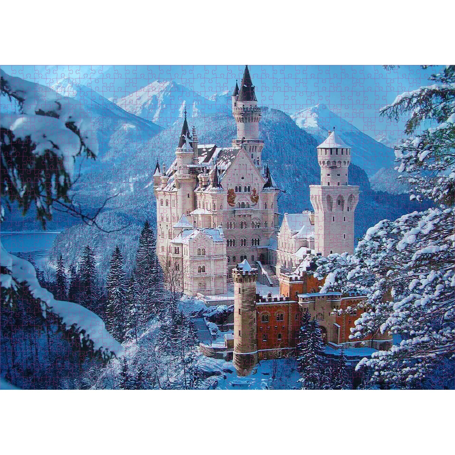 Jigsaw Puzzles 1000 Pieces Schwanstein Castle Jigsaw Puzzles for Adults Home Decor Games Family Fun Floor Puzzles Educational Toys for Kids